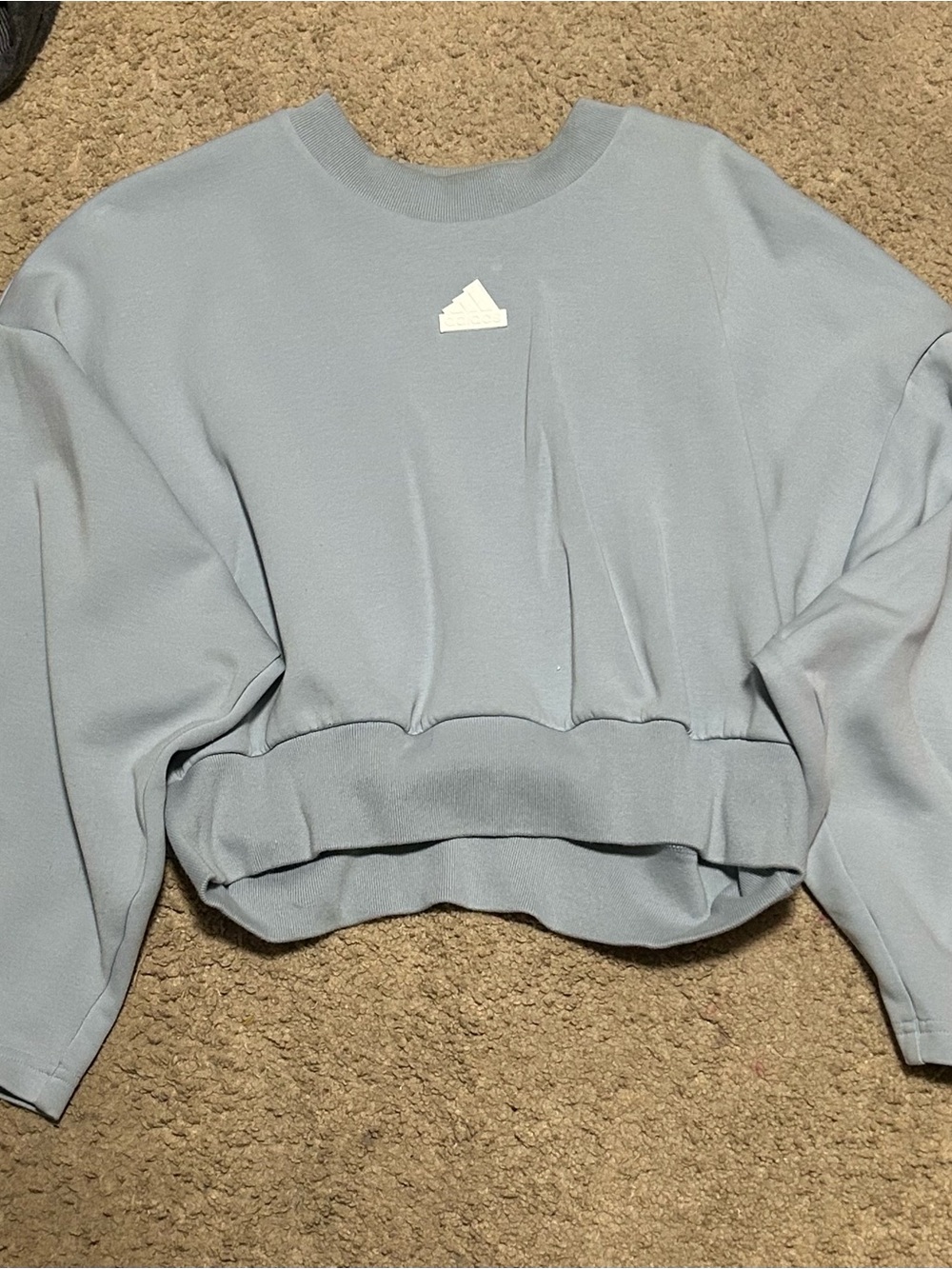 adidas Pale Blue Cropped Crewneck Sweatshirt